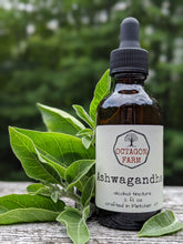 Ashwagandha Tincture