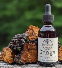 Chaga Double Extraction Tincture
