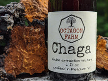 Chaga Double Extraction Tincture