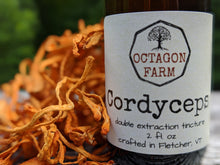 Cordyceps Double Extraction Tincture
