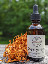 Cordyceps Double Extraction Tincture