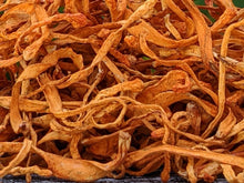 Cordyceps Double Extraction Tincture