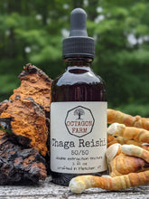 Chaga/Reishi Double Extraction Tincture