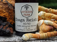 Chaga/Reishi Double Extraction Tincture