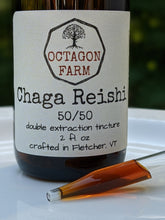 Chaga/Reishi Double Extraction Tincture