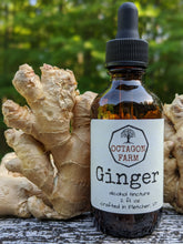 Ginger Tincture