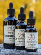 Immunity Tincture