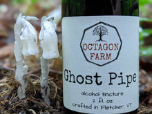 Ghost Pipe Tincture