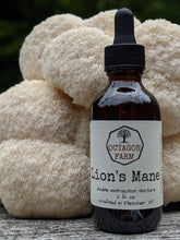 Lion's Mane Double Extraction Tincture