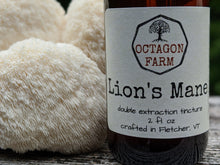 Lion's Mane Double Extraction Tincture