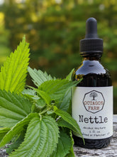 Nettle Tincture