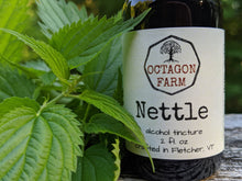 Nettle Tincture