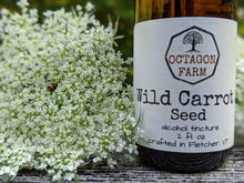 Wild Carrot Seed Tincture