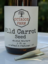 Wild Carrot Seed Tincture