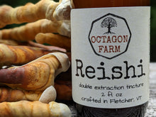 Reishi Double Extraction Tincture