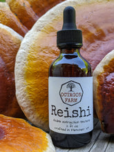 Reishi Double Extraction Tincture