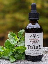 Tulsi Tincture