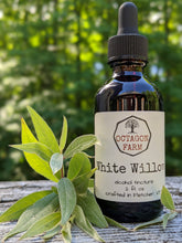 White Willow Tincture
