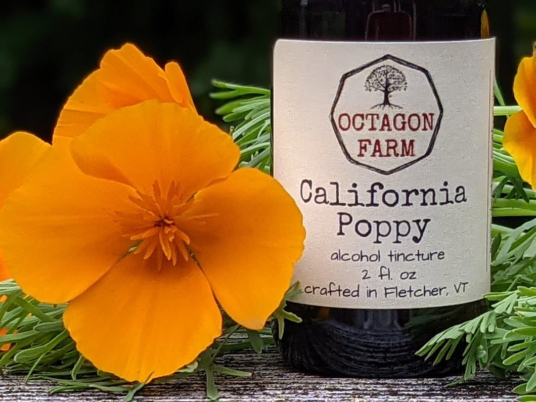 California Poppy Tincture