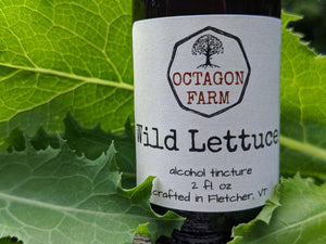 Wild Lettuce Tincture
