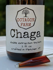 Chaga Double Extraction Tincture