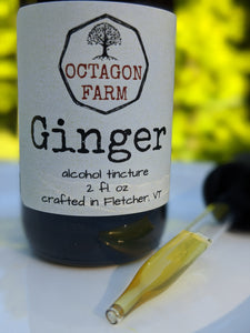 Ginger Tincture
