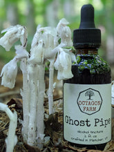 Ghost Pipe Tincture