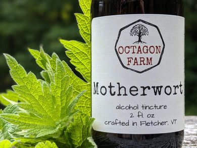 Motherwort Tincture