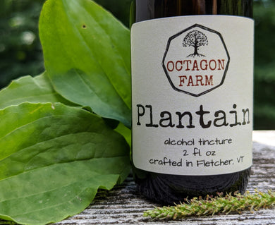 Plantain Tincture