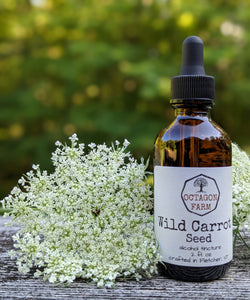 Wild Carrot Seed Tincture