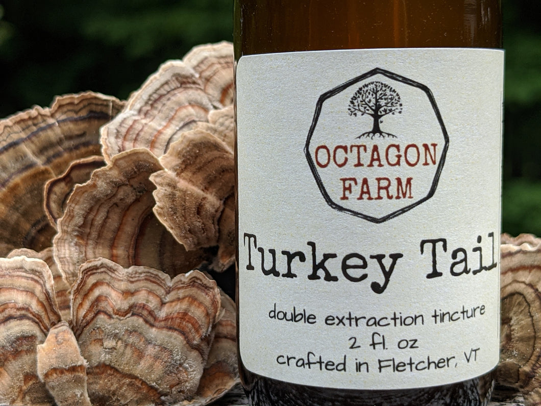 Turkey Tail Double Extraction Tincture